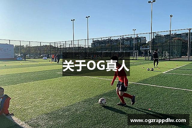 关于OG真人
